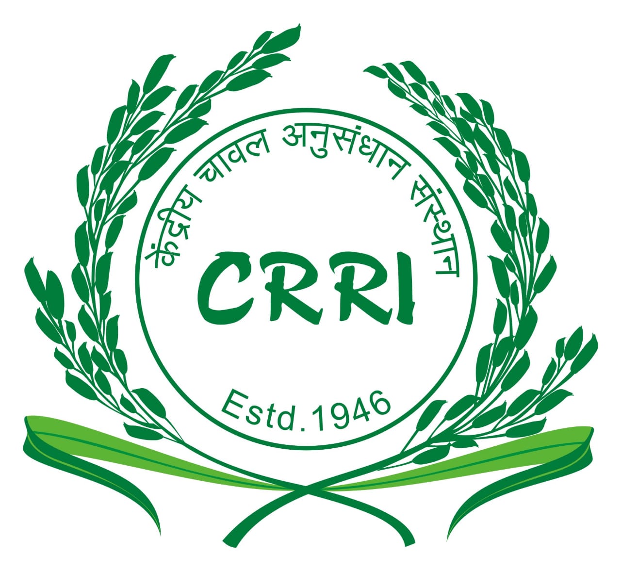 CRRI Logo